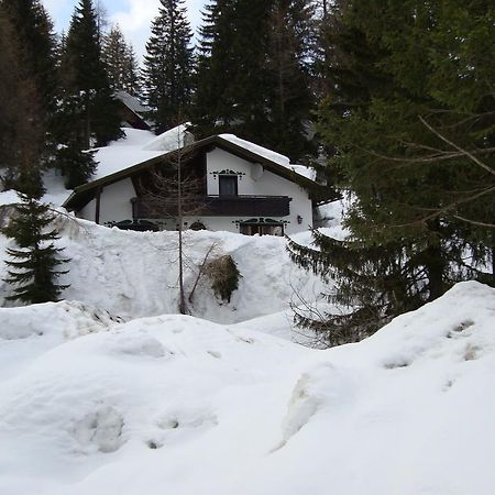 索内纳尔佩·纳斯费尔德Chalet In Nassfeld Ski Area In Carinthia别墅 外观 照片