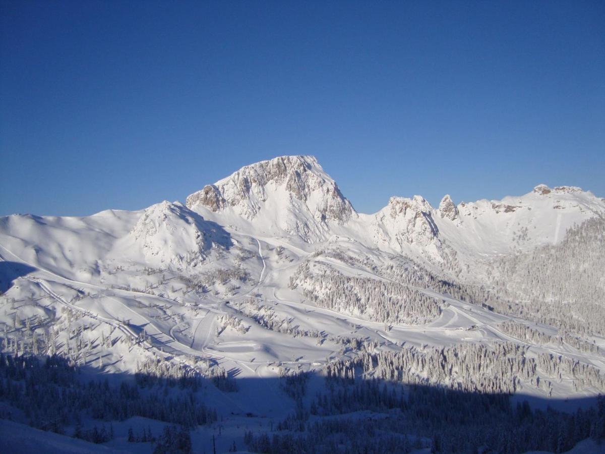 索内纳尔佩·纳斯费尔德Chalet In Nassfeld Ski Area In Carinthia别墅 外观 照片