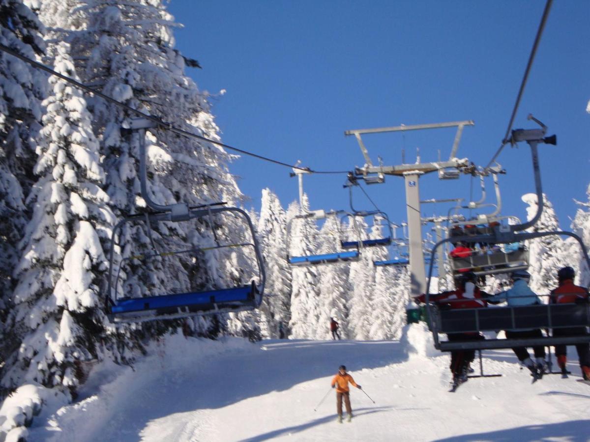 索内纳尔佩·纳斯费尔德Chalet In Nassfeld Ski Area In Carinthia别墅 外观 照片