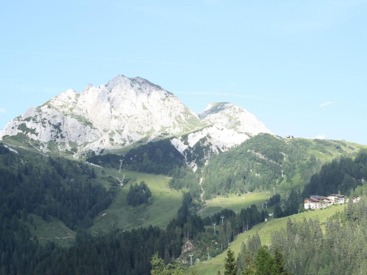 索内纳尔佩·纳斯费尔德Chalet In Nassfeld Ski Area In Carinthia别墅 外观 照片