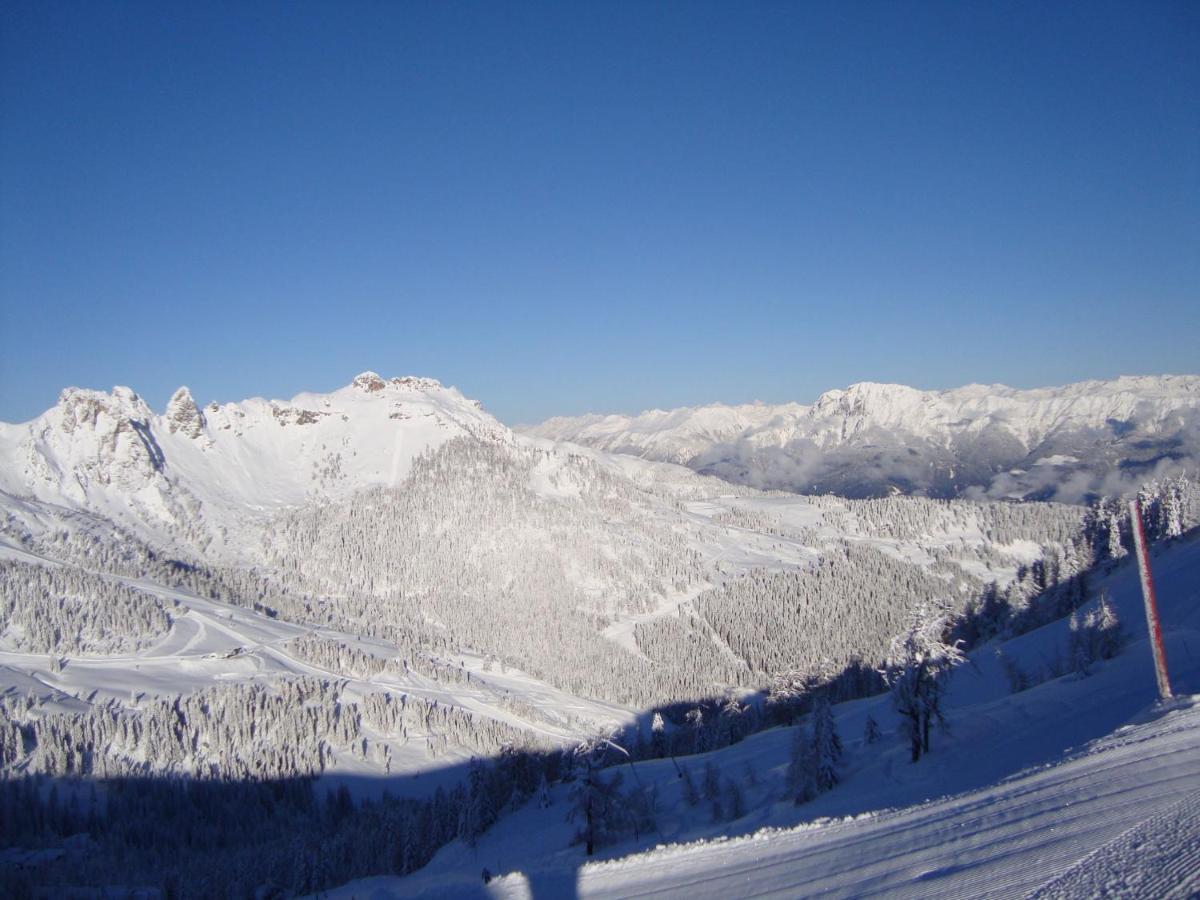 索内纳尔佩·纳斯费尔德Chalet In Nassfeld Ski Area In Carinthia别墅 外观 照片