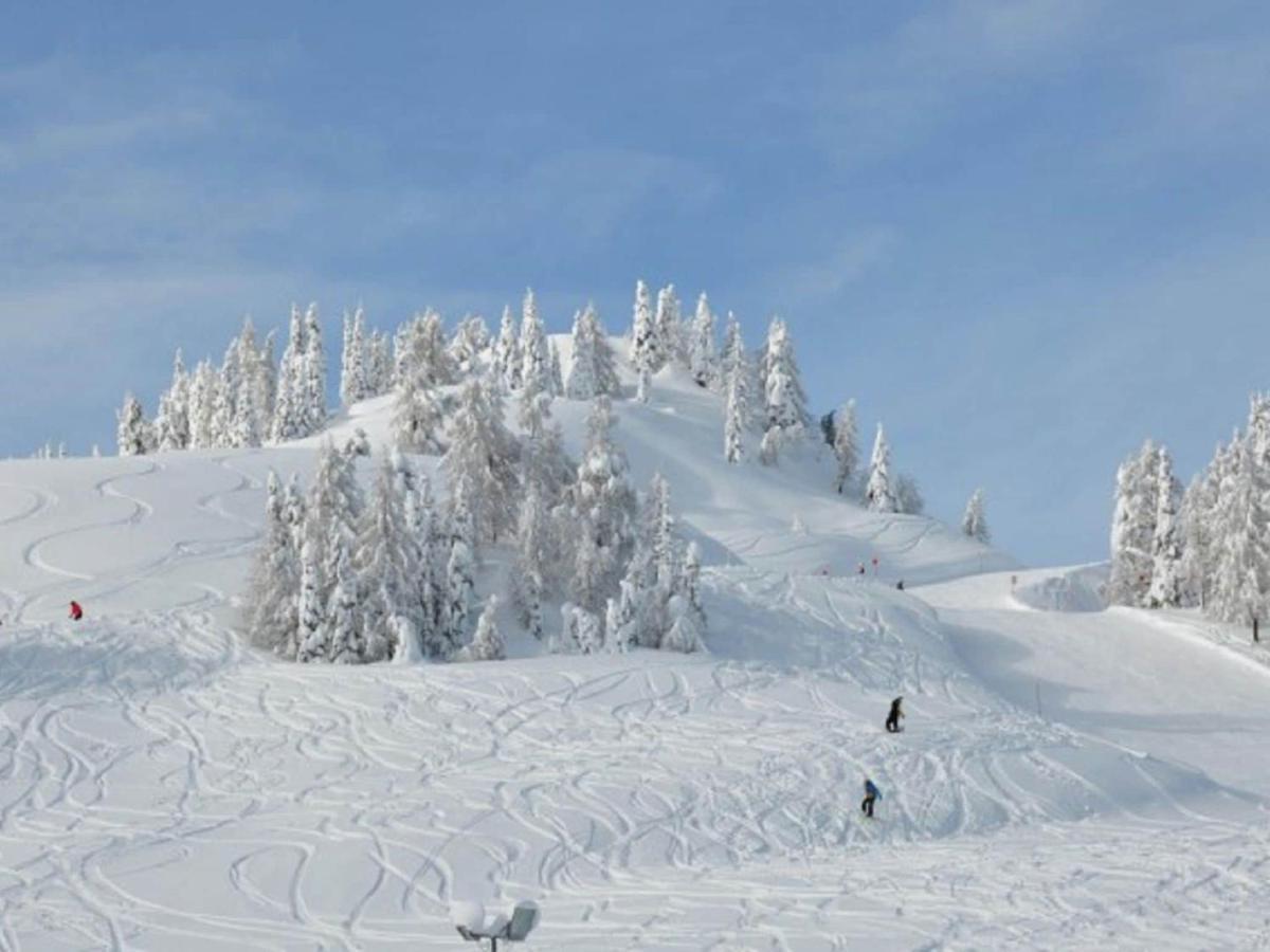 索内纳尔佩·纳斯费尔德Chalet In Nassfeld Ski Area In Carinthia别墅 外观 照片