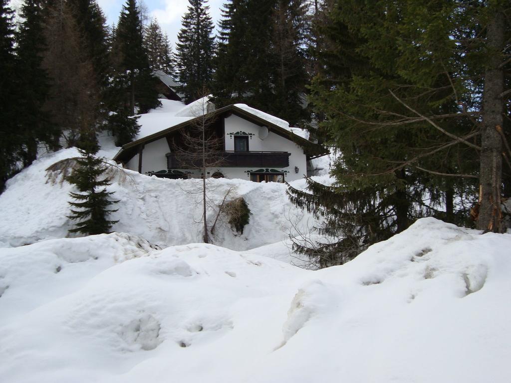 索内纳尔佩·纳斯费尔德Chalet In Nassfeld Ski Area In Carinthia别墅 外观 照片